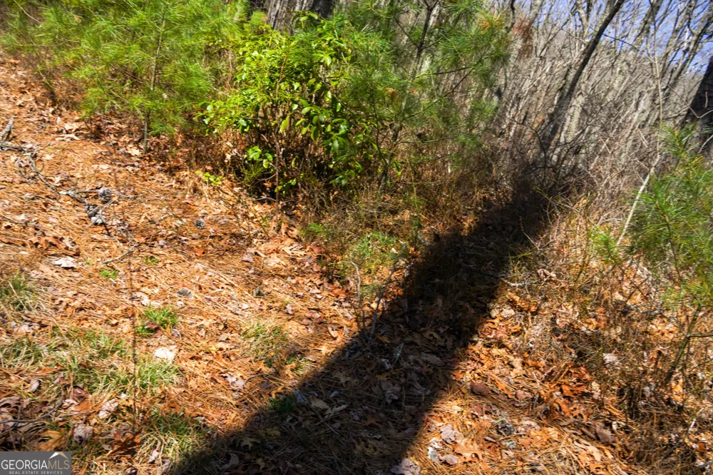 0 Hale Ridge RD Clayton, GA 30525