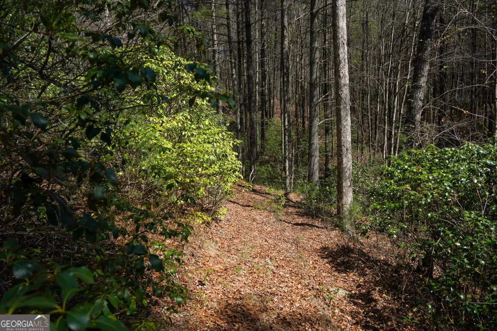 0 Hale Ridge RD Clayton, GA 30525