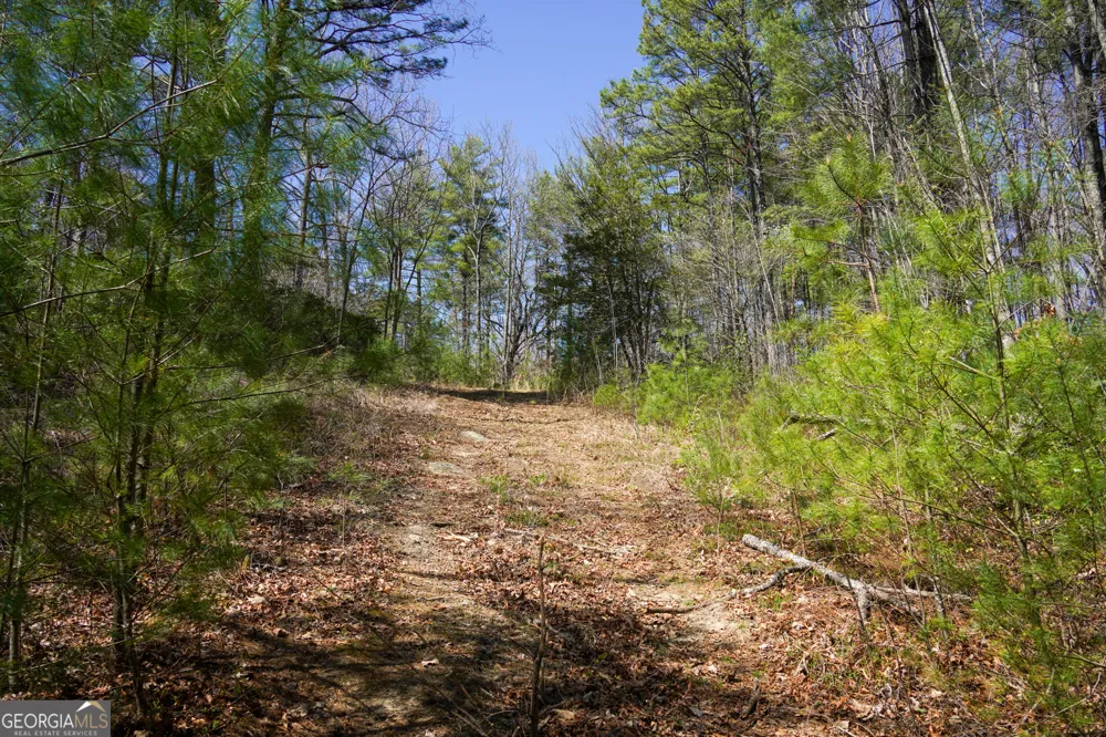 0 Hale Ridge RD Clayton, GA 30525