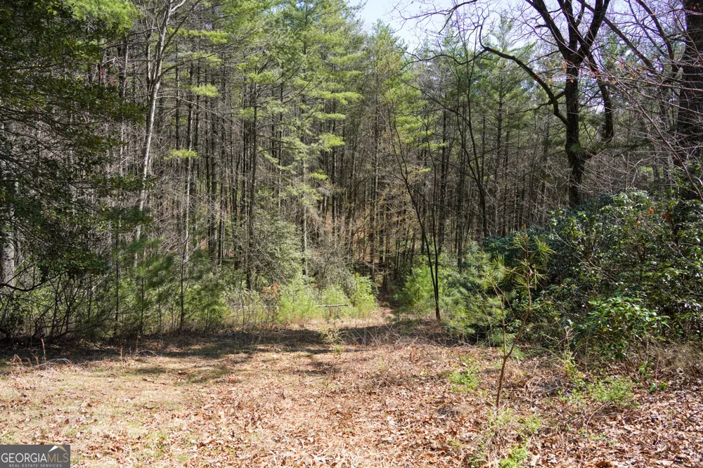 0 Hale Ridge RD Clayton, GA 30525