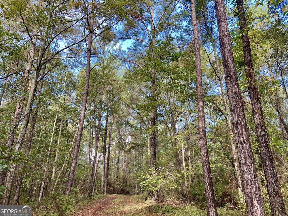 136 Pope RD Pineview, GA 31071