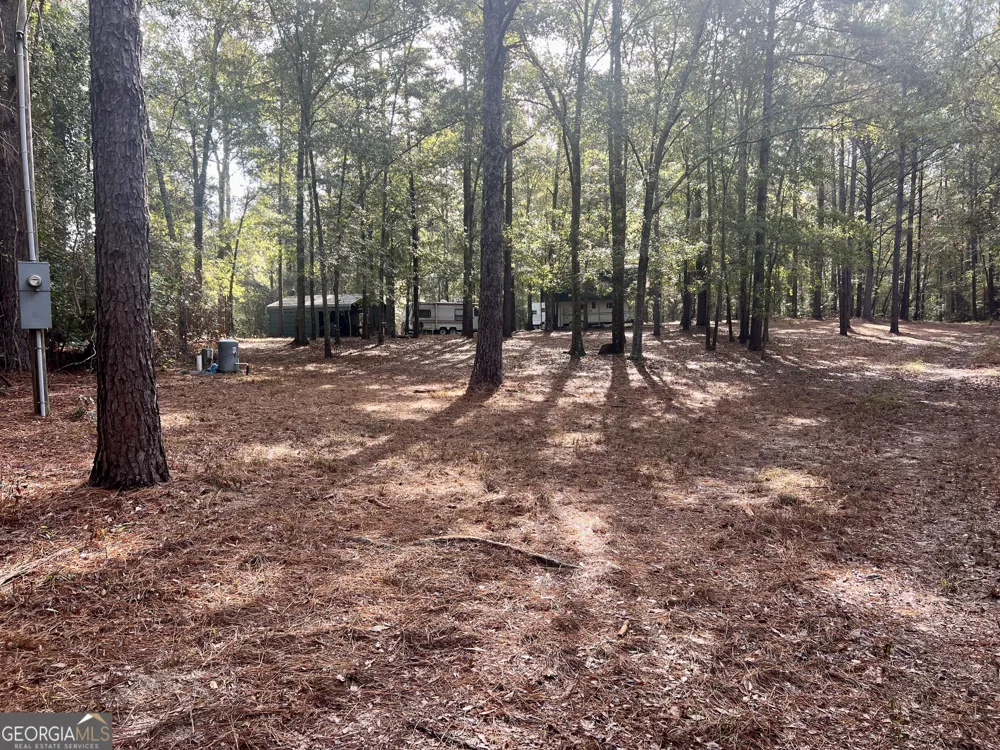 136 Pope RD Pineview, GA 31071