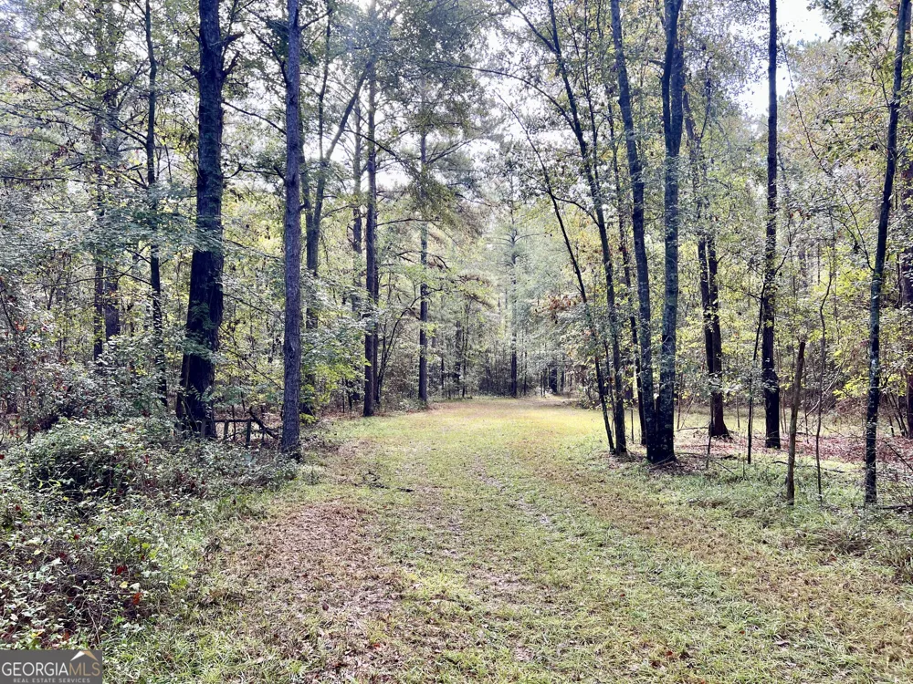 136 Pope RD Pineview, GA 31071