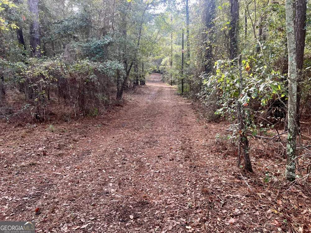 136 Pope RD Pineview, GA 31071