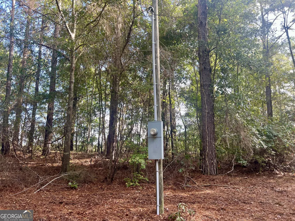 136 Pope RD Pineview, GA 31071