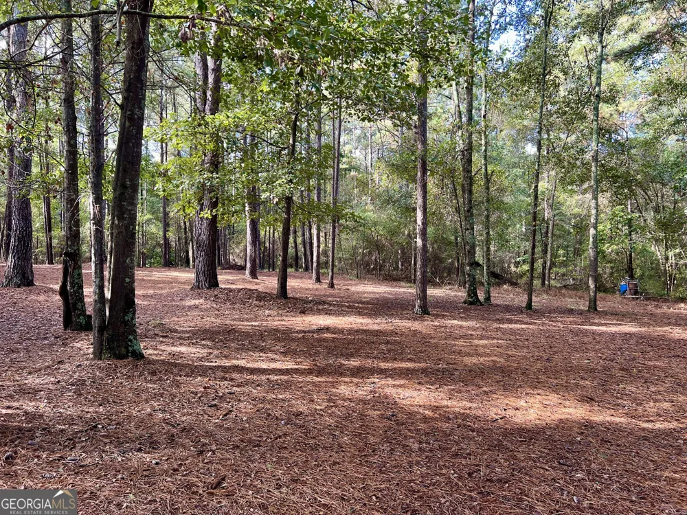 136 Pope RD Pineview, GA 31071