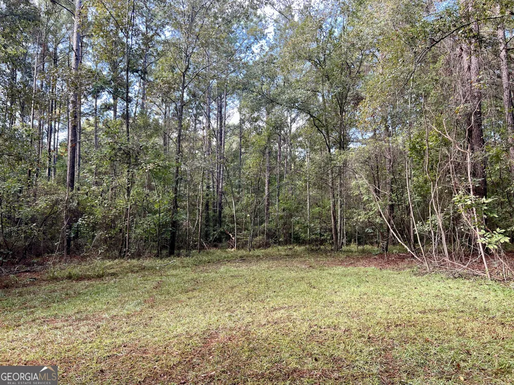 136 Pope RD Pineview, GA 31071