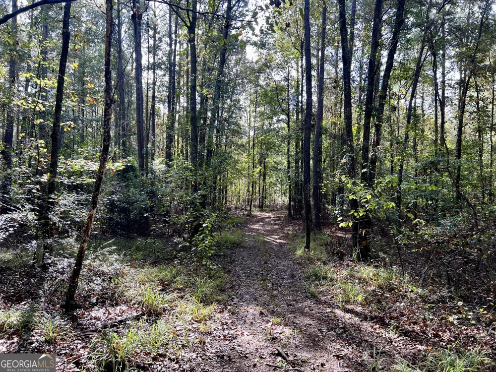 136 Pope RD Pineview, GA 31071
