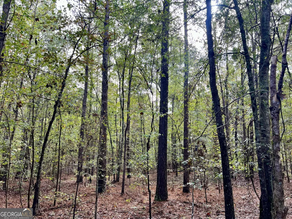 136 Pope RD Pineview, GA 31071