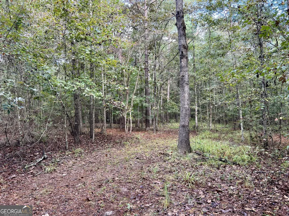 136 Pope RD Pineview, GA 31071