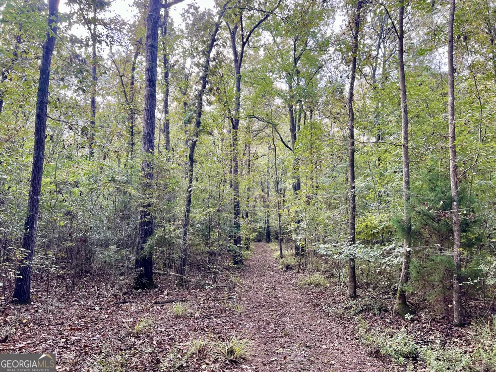 136 Pope RD Pineview, GA 31071