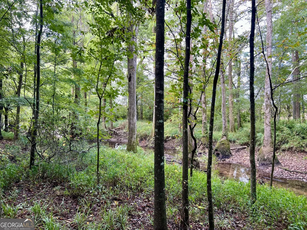 136 Pope RD Pineview, GA 31071
