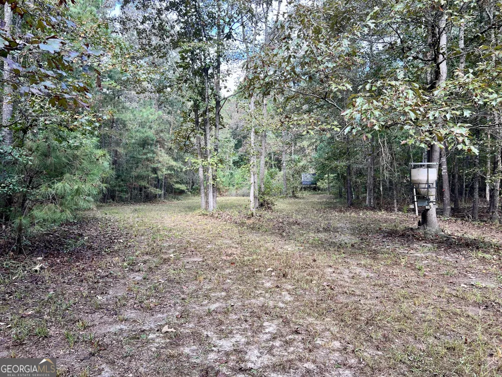 136 Pope RD Pineview, GA 31071