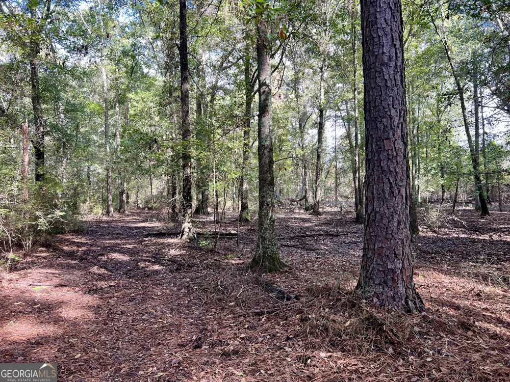 136 Pope RD Pineview, GA 31071