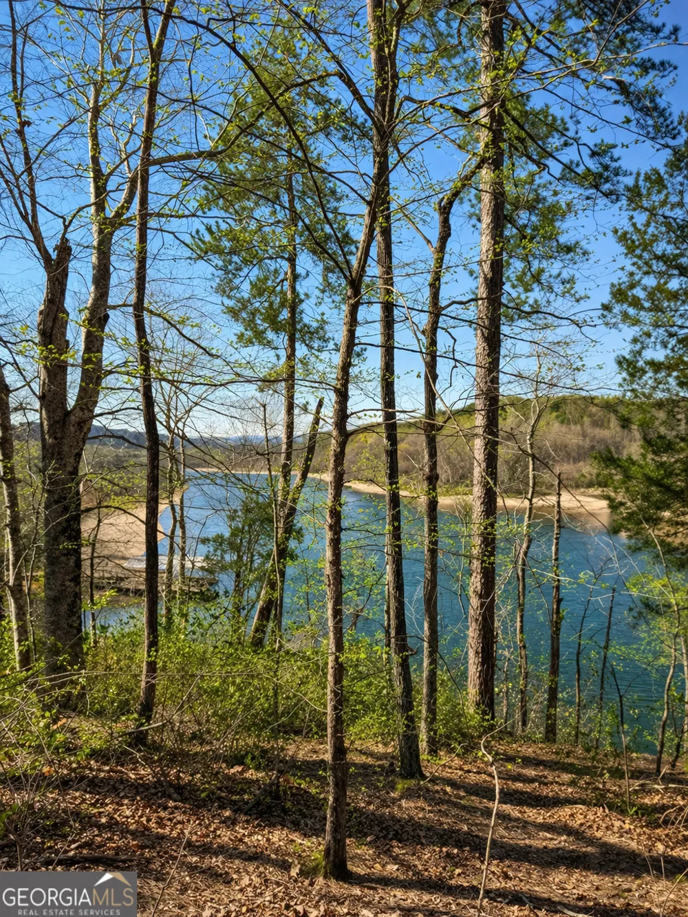 333 Laurel Mountain DR Toccoa, GA 30577