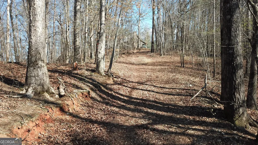 333 Laurel Mountain DR Toccoa, GA 30577