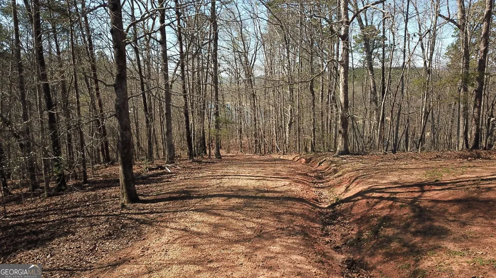 333 Laurel Mountain DR Toccoa, GA 30577