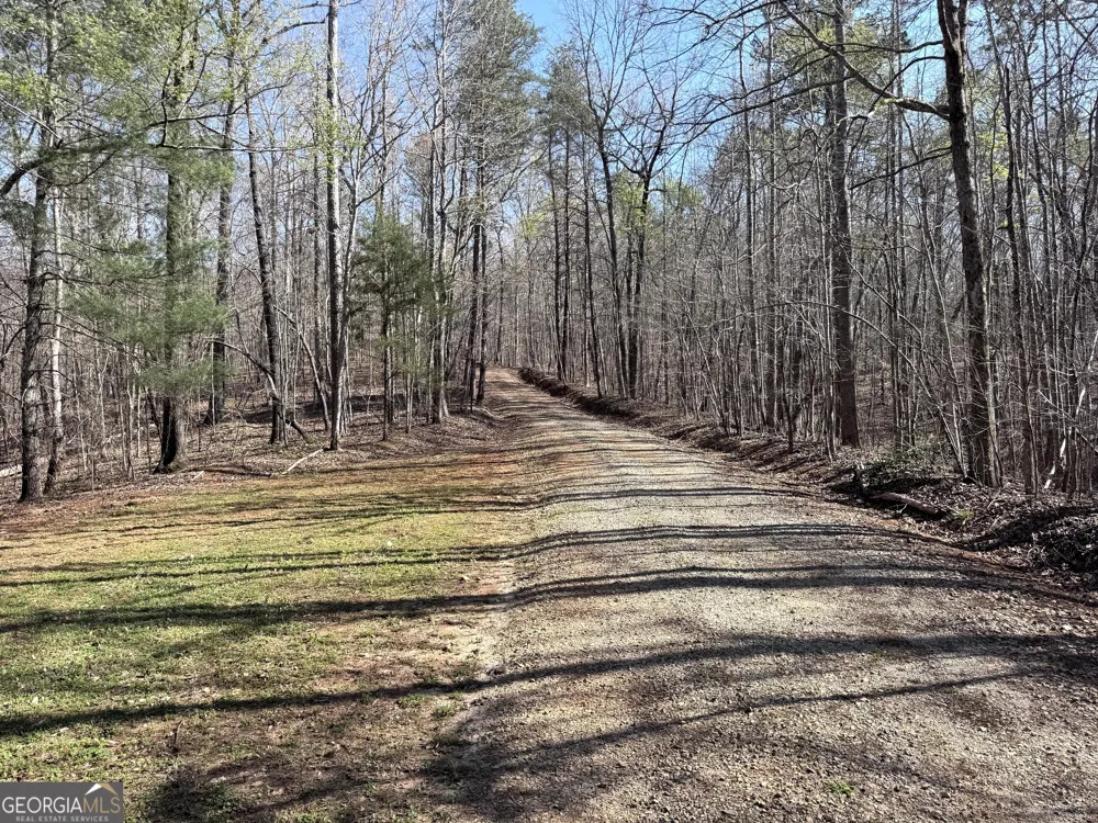 333 Laurel Mountain DR Toccoa, GA 30577