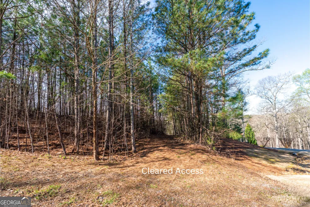 14 Hawks Branch LN White, GA 30184