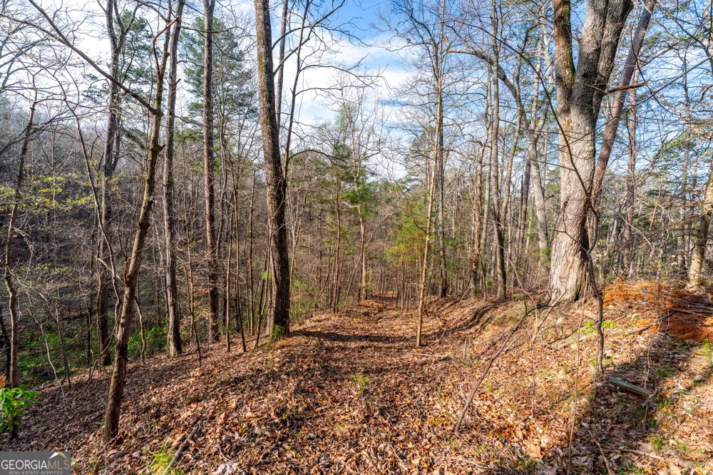 14 Hawks Branch LN White, GA 30184