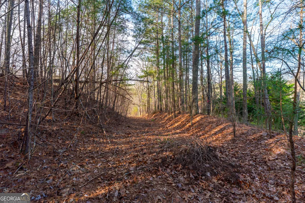14 Hawks Branch LN White, GA 30184