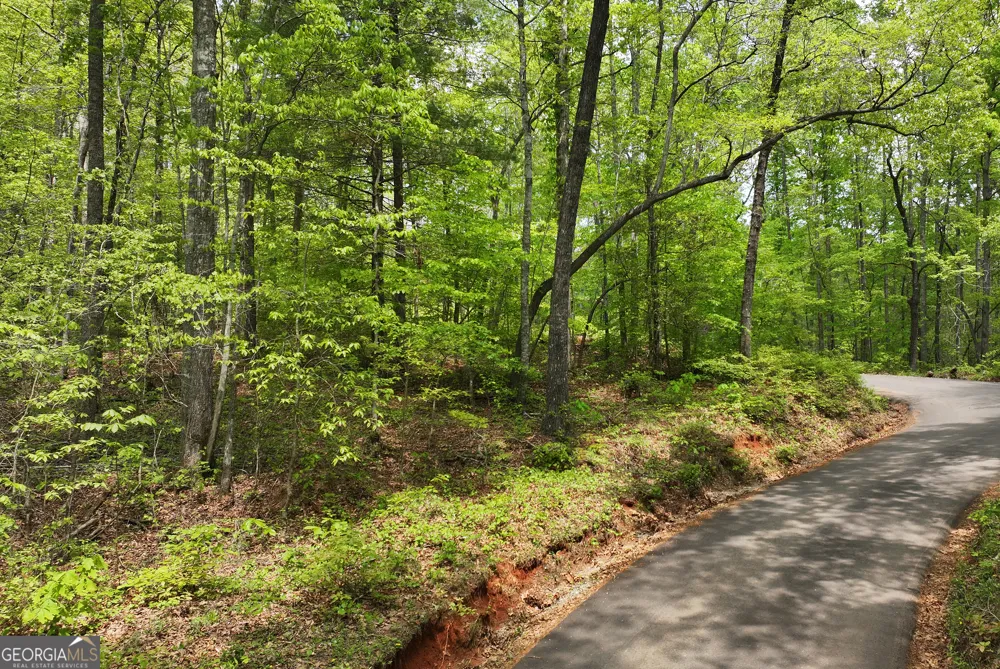0 Lawrence RD Dawsonville, GA 30534