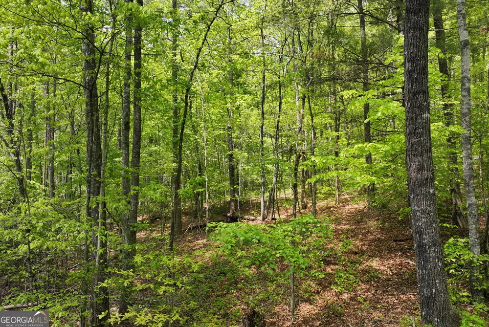 0 Lawrence RD Dawsonville, GA 30534
