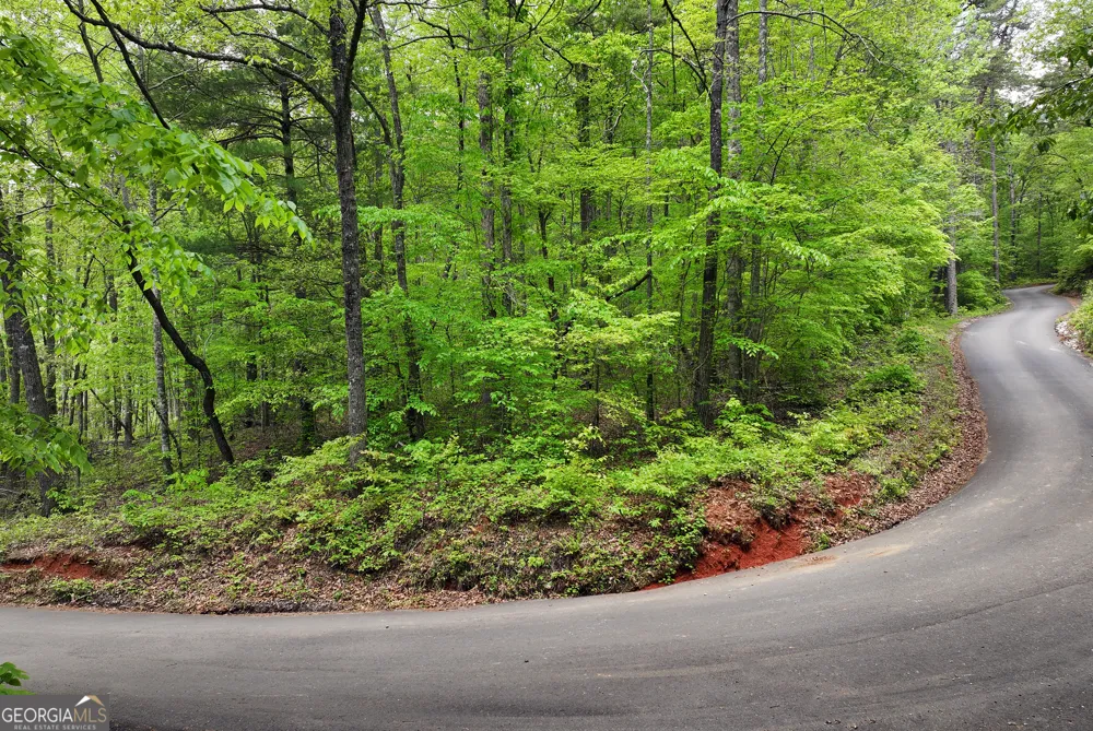 0 Lawrence RD Dawsonville, GA 30534
