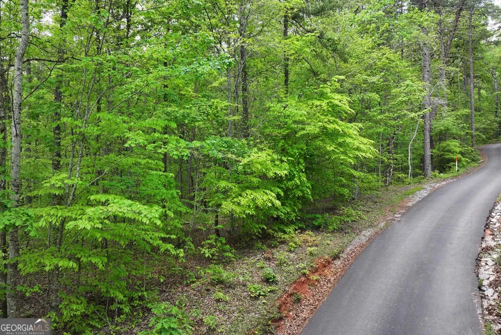 0 Lawrence RD Dawsonville, GA 30534
