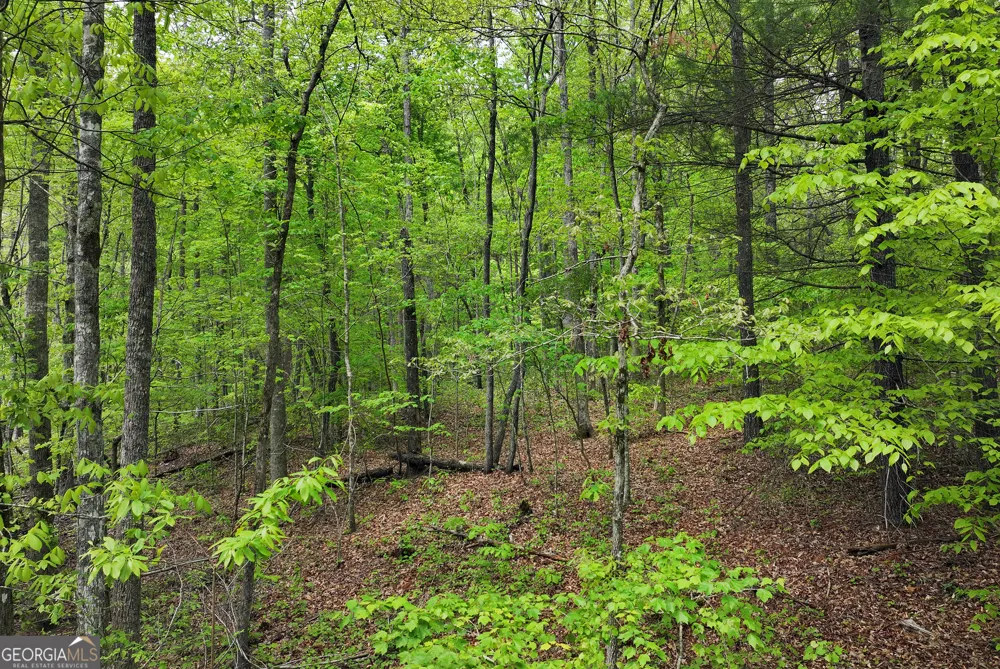 0 Lawrence RD Dawsonville, GA 30534