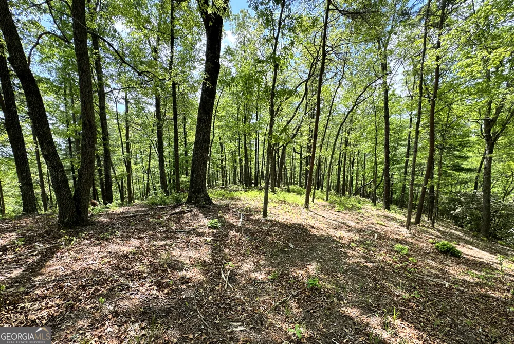 0 Lawrence RD Dawsonville, GA 30534