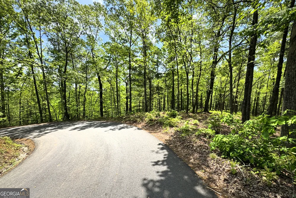 0 Lawrence RD Dawsonville, GA 30534