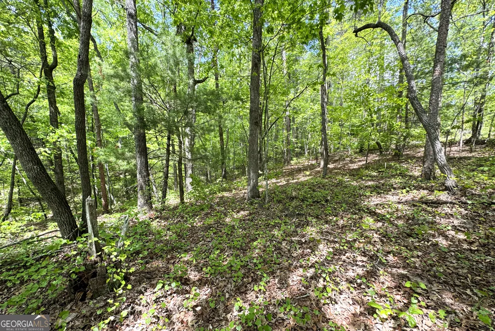 0 Lawrence RD Dawsonville, GA 30534
