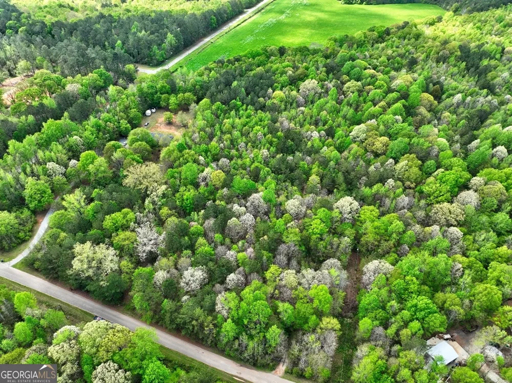 LOT 18 Shady Farms RD Monticello, GA 31064