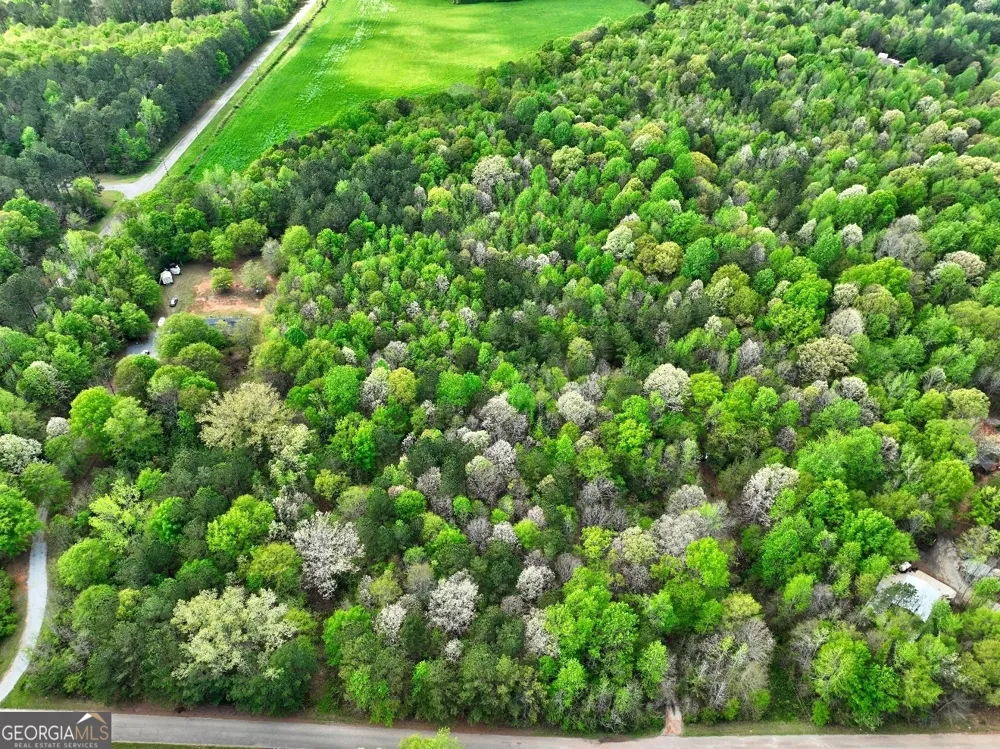 LOT 18 Shady Farms RD Monticello, GA 31064
