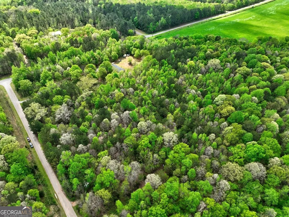 LOT 18 Shady Farms RD Monticello, GA 31064