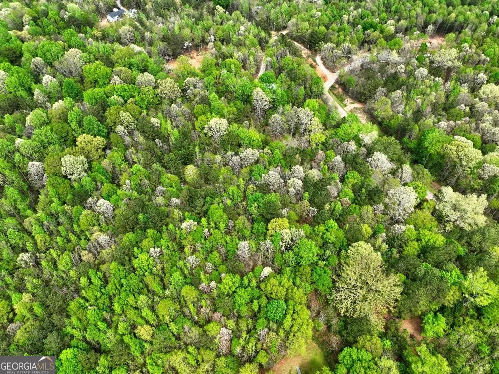 LOT 18 Shady Farms RD Monticello, GA 31064