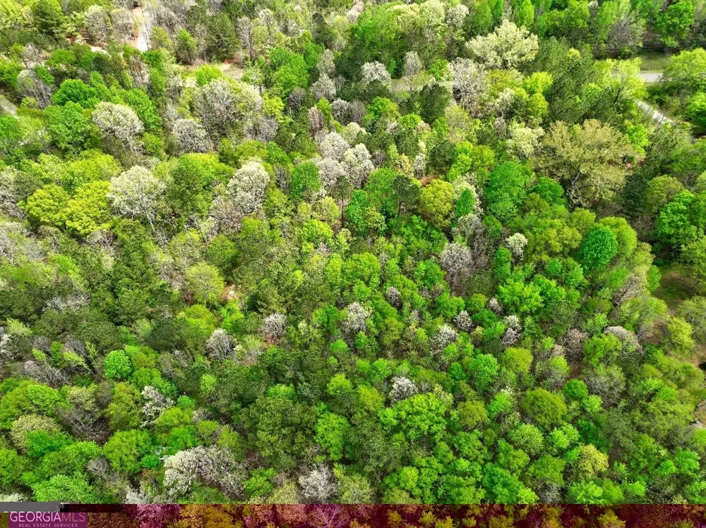 LOT 18 Shady Farms RD Monticello, GA 31064