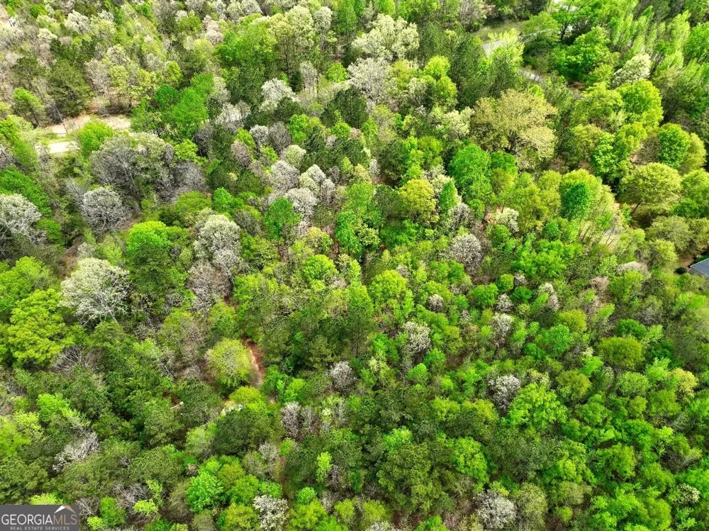 LOT 18 Shady Farms RD Monticello, GA 31064