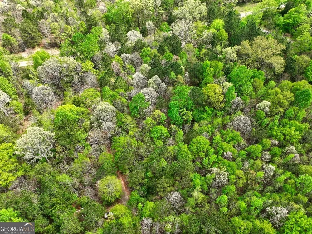 LOT 18 Shady Farms RD Monticello, GA 31064