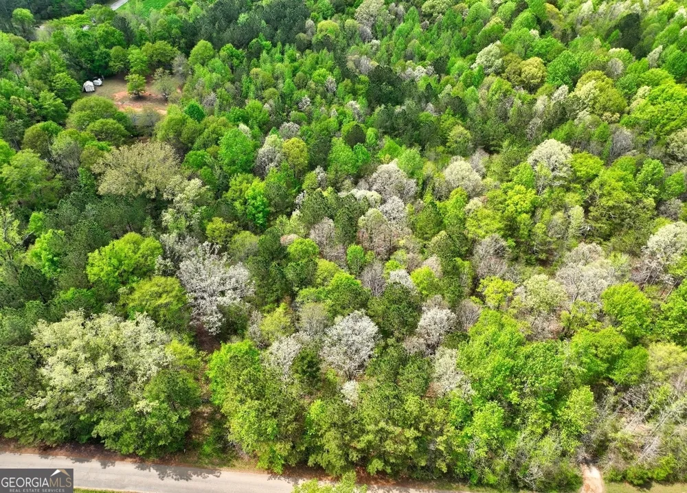 LOT 18 Shady Farms RD Monticello, GA 31064