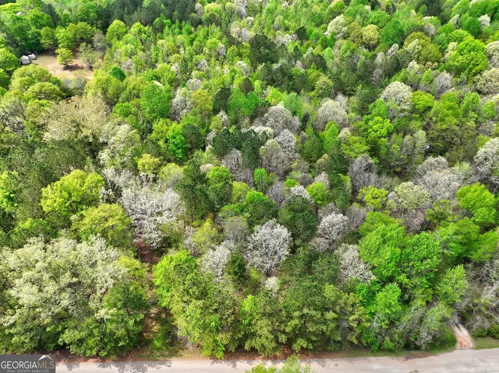 LOT 18 Shady Farms RD Monticello, GA 31064