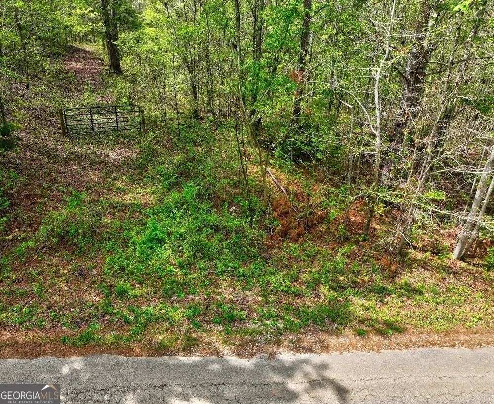 LOT 18 Shady Farms RD Monticello, GA 31064