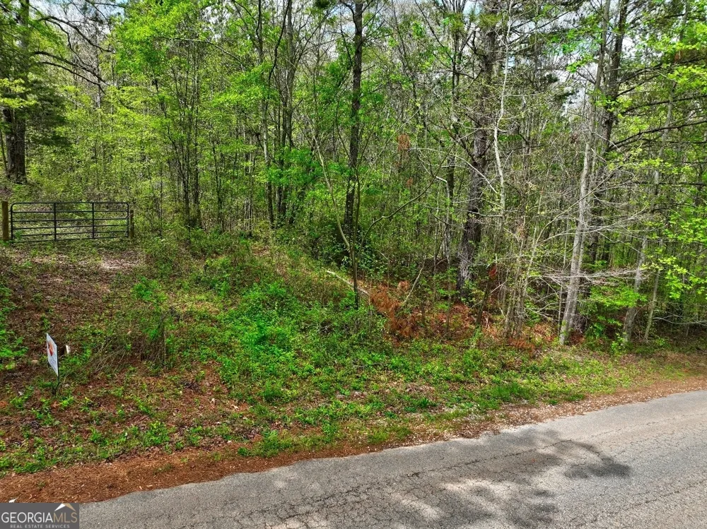 LOT 18 Shady Farms RD Monticello, GA 31064
