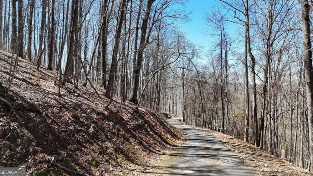 LOT 100 Timberline Acres Young Harris, GA 30582