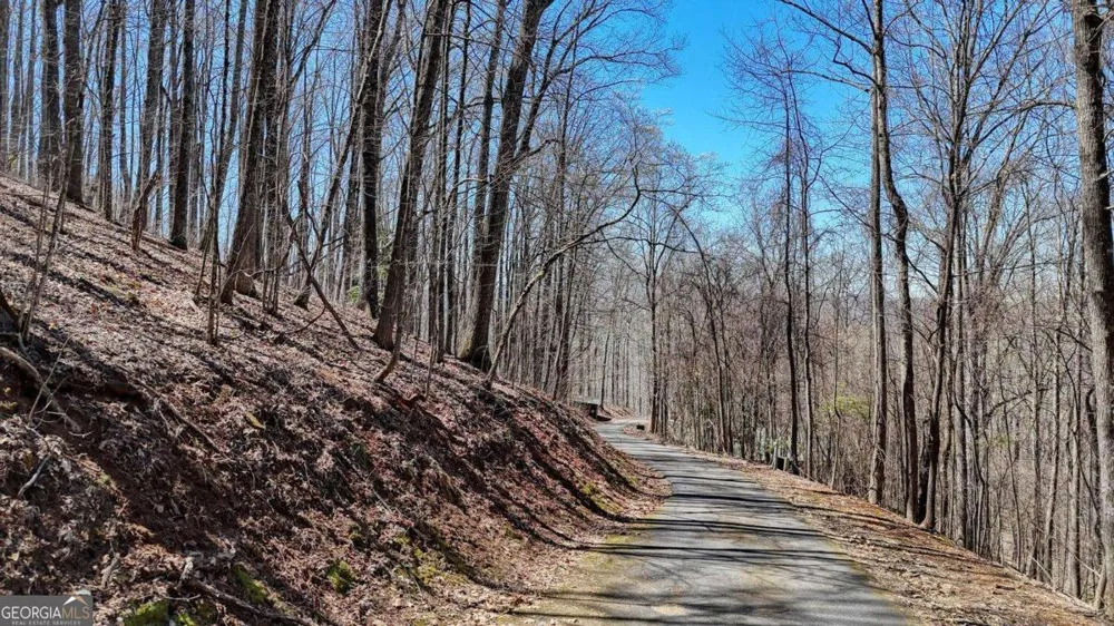 LOT 100 Timberline Acres Young Harris, GA 30582