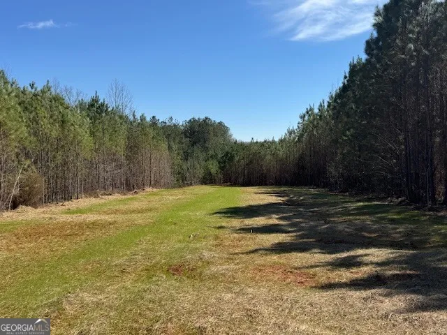 600 Yarbrough RD Franklin, GA 30217