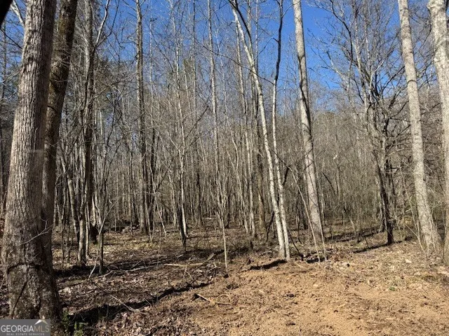 600 Yarbrough RD Franklin, GA 30217