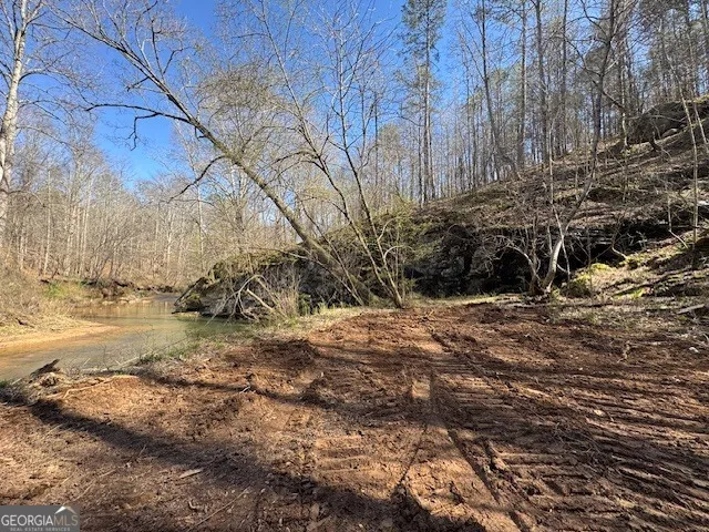 600 Yarbrough RD Franklin, GA 30217