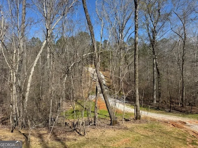 600 Yarbrough RD Franklin, GA 30217